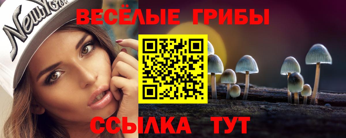 Псилоцибиновые грибы Psilocybe Усолье-Сибирское